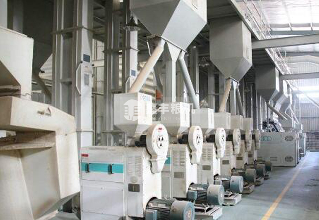 燕麥制米設(shè)備