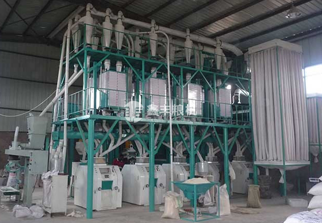 蕎麥面加工設備