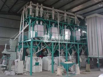 蕎麥面加工設備